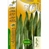 Imagen de Shal judía helda