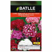 Batlle clavell ramillete poeta variat bossa