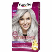 Imagen de Palette tinte IC U71 gris plata
