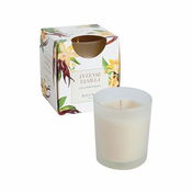 Imagen de Vaso satinado vainilla 333033170