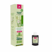 Imagen de Cristalinas mikado dama de noche