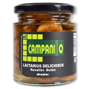 Rovelló boto Campanillo lactarius deliciosus