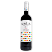 Vino tinto Coto de Hayas Joven