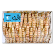 Langostinos del Mediterráneo