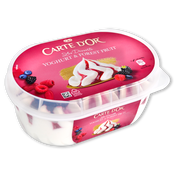 Helado carte d'or yogur y frutas del bosque Frigo