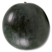 Síndria
