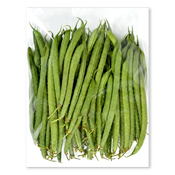 Imagen de Judía bobby