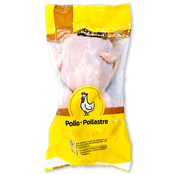 Pollastre pollastró blanc