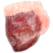 Corazón de vacuno 1 u.