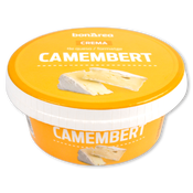 Crema de formatge Camembert
